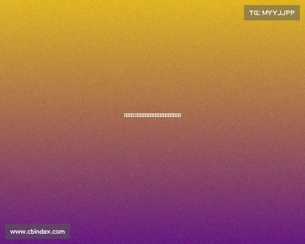 政和电脑;《探寻政和地区优质电竞培训机构指南》